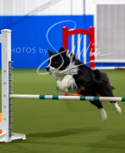 2025-7-12-July-Trial-594