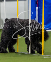 2025-7-12-July-Trial-60-2