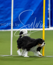 2025-7-12-July-Trial-600