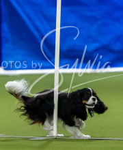 2025-7-12-July-Trial-601