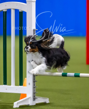 2025-7-12-July-Trial-606