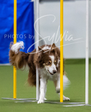 2025-7-12-July-Trial-61