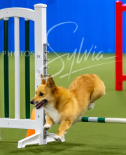 2025-7-12-July-Trial-615