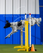 2025-7-12-July-Trial-625