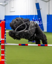 2025-7-12-July-Trial-63-2