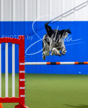 2025-7-12-July-Trial-630