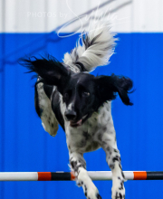 2025-7-12-July-Trial-631