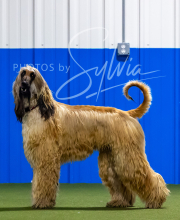 2025-7-12-July-Trial-636