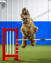 2025-7-12-July-Trial-643