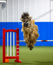 2025-7-12-July-Trial-644