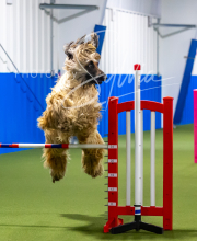 2025-7-12-July-Trial-645