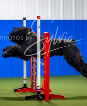 2025-7-12-July-Trial-65-2