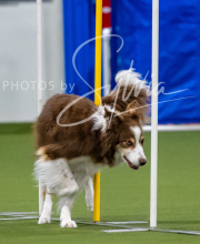 2025-7-12-July-Trial-65