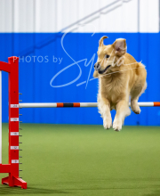 2025-7-12-July-Trial-656