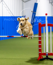 2025-7-12-July-Trial-657