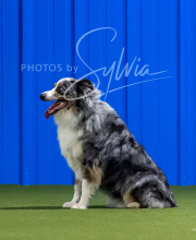 2025-7-12-July-Trial-662