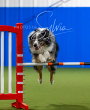 2025-7-12-July-Trial-668