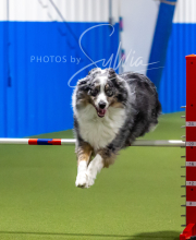 2025-7-12-July-Trial-671