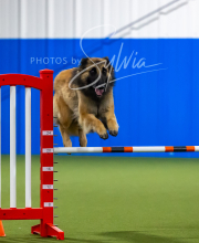 2025-7-12-July-Trial-679