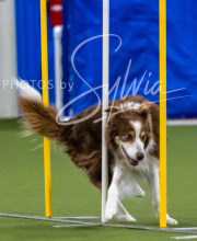 2025-7-12-July-Trial-68