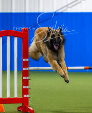 2025-7-12-July-Trial-680