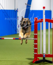 2025-7-12-July-Trial-682