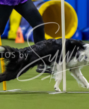 2025-7-12-July-Trial-691