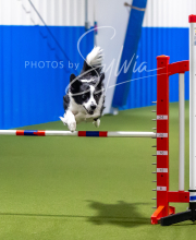 2025-7-12-July-Trial-694