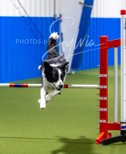 2025-7-12-July-Trial-695