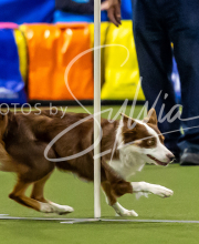 2025-7-12-July-Trial-702