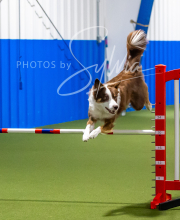 2025-7-12-July-Trial-708