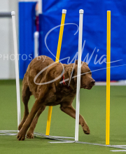 2025-7-12-July-Trial-71-2