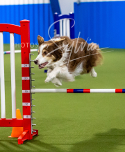 2025-7-12-July-Trial-71