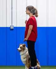 2025-7-12-July-Trial-715