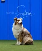 2025-7-12-July-Trial-717