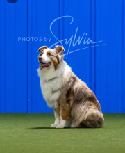 2025-7-12-July-Trial-718