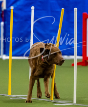 2025-7-12-July-Trial-72-2