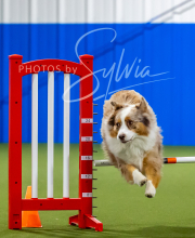 2025-7-12-July-Trial-728