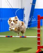 2025-7-12-July-Trial-730