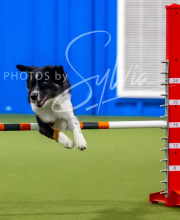 2025-7-12-July-Trial-740