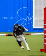 2025-7-12-July-Trial-741