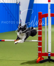 2025-7-12-July-Trial-743