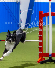 2025-7-12-July-Trial-744