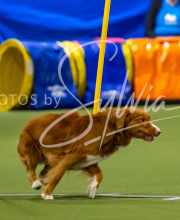 2025-7-12-July-Trial-749