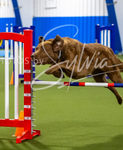 2025-7-12-July-Trial-75-2