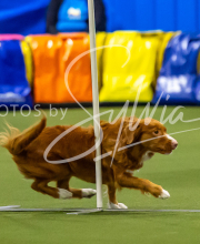 2025-7-12-July-Trial-751