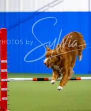 2025-7-12-July-Trial-756