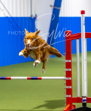 2025-7-12-July-Trial-757