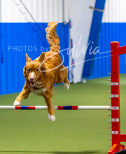 2025-7-12-July-Trial-759