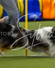 2025-7-12-July-Trial-762